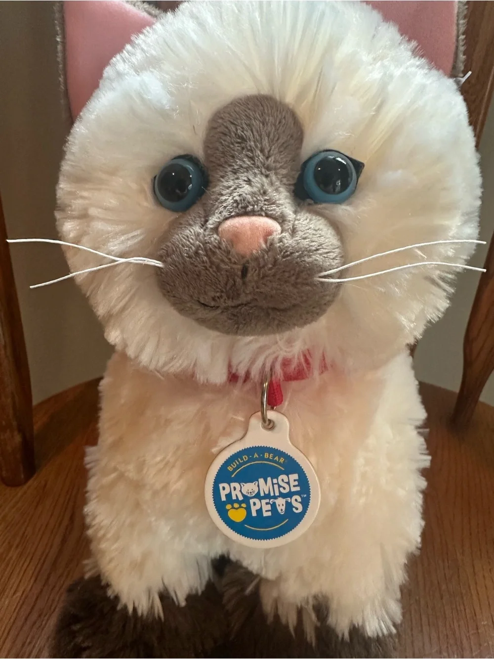 Build a Bear Ragdoll Siamese Himalayan Plush Stuffed Animal Promise Pets Collar